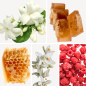 Preview: Duftnoten: Jasmin,Moschus,Honig,Orangenblüte,Himbeere
